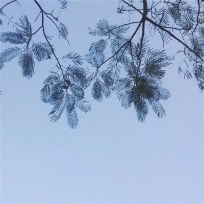 腾讯万古仙缘手游下载